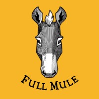 Full Mule logo - Similar company to Api Academy