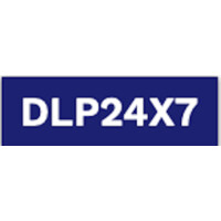 DLP24X7.COM logo - Similar company to Data Connectify