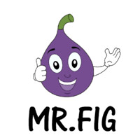 Mr.Fig logo - Similar company to Mosaic Art Studio Hong Kong