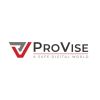 ProVise Consulting logo - Similar company to Vistas Infrastructure
