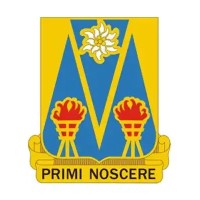 303D Military Intelligence Battalion