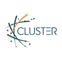 Cluster Consulting logo - Similar company to Nama - Strategic Intelligence Solutions