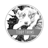 Teddy Farms logo - Similar company to Pammer Ppc