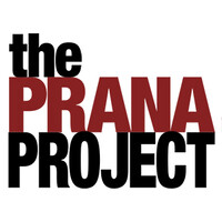 The Prana Project logo - Similar company to Project Prana Foundation