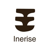 Inerise logo - Similar company to Nethub