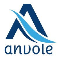 ANVOLE logo - Similar company to Antiane - Managed It Services