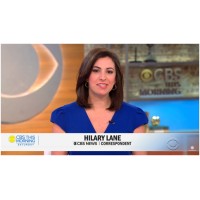 Hilary Lane Media logo - Similar company to Intero Advisory