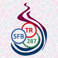 CRC/TRR 287 BULK-REACTION logo - Similar company to Open Engineering - Home Of Oofelie::Multiphysics