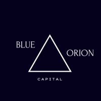 BLUE ORION capital logo - Similar company to Beconnection`