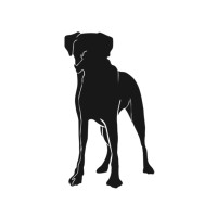 Brindle Boxer Kombucha