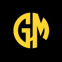 Go Hype Media logo - Similar company to Pkm Web Solution Powered By Webxtalk Pvt. Ltd.
