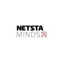 NetSta Minds Pvt Ltd logo - Similar company to Optimetrix Integration & Solution Pvt. Ltd