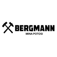 Compañia Minera Bergmann, S.A. de C.V. logo - Similar company to Constructora Minera Parralense S.A De C.V.