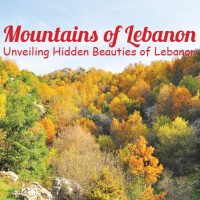 Mountains Of Lebanon logo - Similar company to Lebanon Terrace