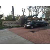 Los Angeles County Limousine logo - Similar company to New Sun International Travel Group