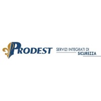 Prodest Group logo - Similar company to Prodest