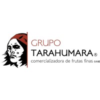 GRUPO TARAHUMARA logo - Similar company to Wolflex
