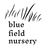 Blue Field Nursery logo - Similar company to Upshore