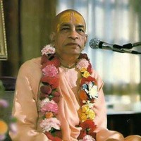 Srila Prabhupada Daily Quotes logo - Similar company to International Society For Krishna Consciousness (Iskcon)