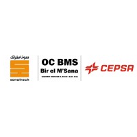 OC-BMS BIR EL MSANA (Sonatrach - Cepsa) logo - Similar company to Asdar It