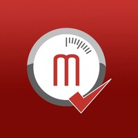 Metalinspec logo - Similar company to Predicting Precision Consulting
