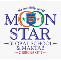 Moonstar Global School logo - Similar company to Moon Stars