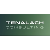 Tenalach Consulting S.L. logo - Similar company to Fscom
