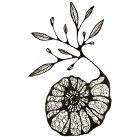 Gaia Consultoria em Arqueologia logo - Similar company to Arqueologika - Consultoria Em Arqueologia E Negócios Sócioculturais