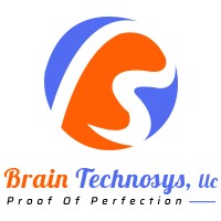 BrainTechnosys LLC logo - Similar company to Brain Technosys Pvt. Ltd.