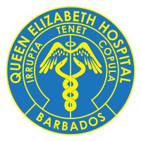 The Queen Elizabeth Hospital - Barbados logo - Similar company to Professional Engineering Solutions