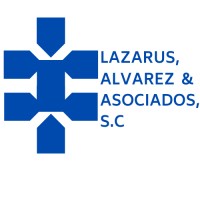 Lazarus Alvarez & Asociados S.C logo - Similar company to Bnm Ontier