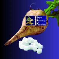 Sugar Processing Knowledge logo - Similar company to Sugar Industry Technologists S.I.T.