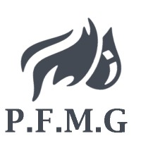 Pars Foolad Mihan Gostar logo - Similar company to Ahan Net