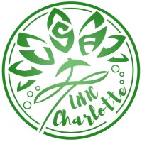 Vietnamese Student Association at UNC Charlotte logo - Similar company to Project Sol Nc