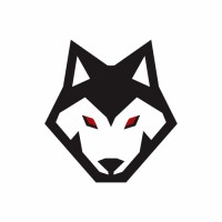 Cybefox Podcast logo - Similar company to Vulncure