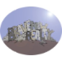 Brave New Realty Llc
