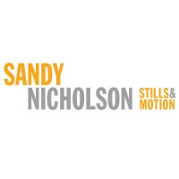Sandy Nicholson Inc. logo - Similar company to Imarkit