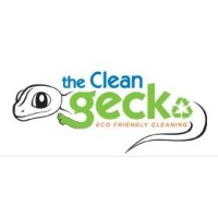 The Clean Gecko logo - Similar company to Innovex Engineering Corporation