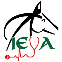 Irish Equine Veterinary Association logo - Similar company to Globe Buddy