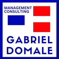 Gabriel Domale Consulting logo - Similar company to Execution Edge Limited