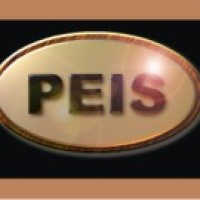 PETROLEUM ENGINEERING INTEGRATED SERVICES, L.L.C. logo - Similar company to Petroleum Engineering Services, Llc
