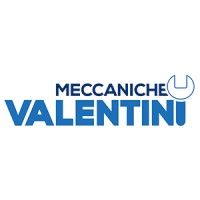 Meccaniche Valentini S.r.l. Società unipersonale logo - Similar company to Amadei Automation