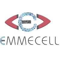 Emmecell logo - Similar company to Eversight