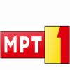 Macedonian Radio Television logo - Similar company to Digitime