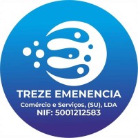 Treze Emenencia logo - Similar company to Imogestin