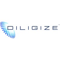 Diligize logo - Similar company to Stonesthro