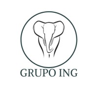 Grupo ING Marketing Digital logo - Similar company to Reboostech