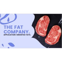 The Fat Company logo - Similar company to Texperience