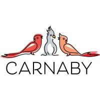 Carnaby logo - Similar company to Lester Blades - Executive Search & Board Advisory