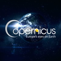 Copernicus ECMWF logo - Similar company to European Centre For Medium-Range Weather Forecasts - Ecmwf